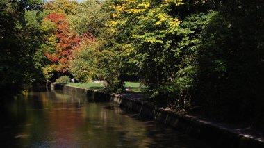 MÜZİK, GERMANE - 12 Ekim 2015: İngiliz Münih Bahçesi 'ndeki ağaçların Hindistan Yaz Boyası ile güzel bir sonbahar günü