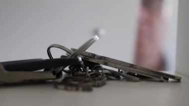 Dolabın kapısını açan ve bir raftan dairenin anahtarlarını alan adam..