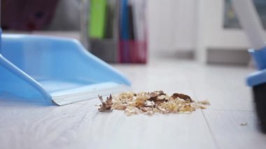 Ev aktiviteleri, yerdeki çöpleri süpürme işi falan. Ev işleri, Çöpü Yavaş Çekimde Yerden Kaldırmak.