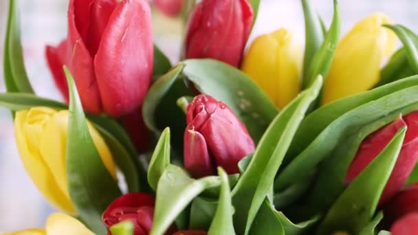 Aniversario Ramo Flores Hermosos Tulipanes Color Arreglo Floral Cumpleaños — Vídeo de stock