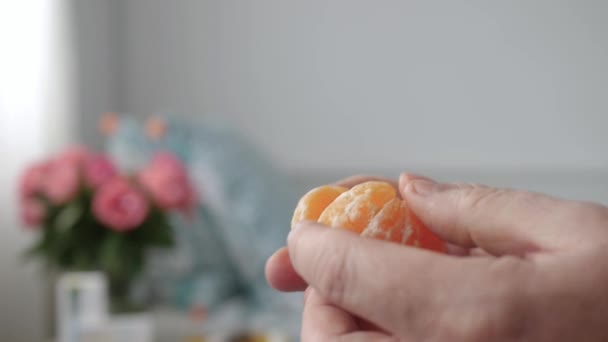Kişi Clementine Soyup Yiyor Tatlı Lezzetli Egzotik Meyve — Stok video