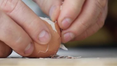 Aç bir insan sabah kahvaltısını hazırlamak için haşlanmış tavuk yumurtası soyar. Lezzetli, organik ve Protein çerezi dolu..