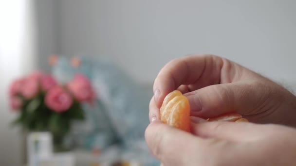 Hladová Osoba Unpeeling Jíst Clementine Sladké Aromatizované Exotické Ovoce — Stock video