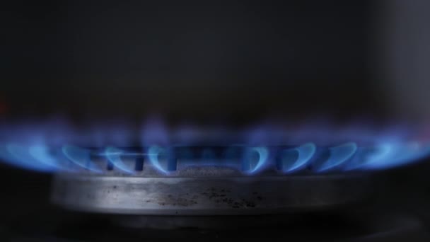 Flame Burning Kitchen Stove Methane Gas Crisis Global Energy Crisis — Stock Video