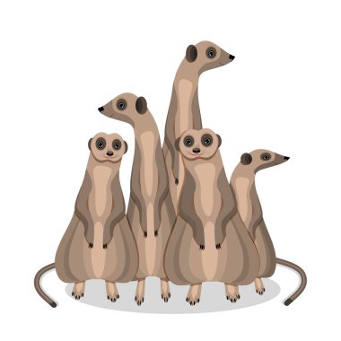 Bir grup mirket. Düz vektör illüstrasyonu.