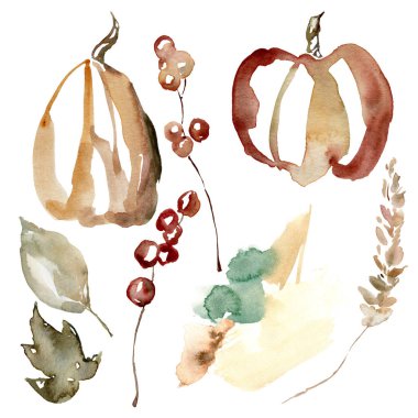 Soyut sonbahar balkabağı, böğürtlen, otlar ve benekler. Elle boyanmış sonbahar bitkileri beyaz arka planda izole edilmiş. Tasarım, baskı ve arkaplan için botanik illüstrasyon.