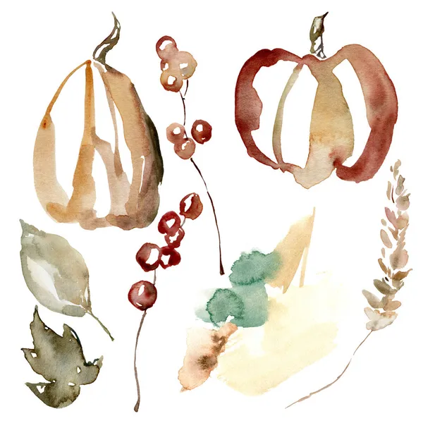 Soyut sonbahar balkabağı, böğürtlen, otlar ve benekler. Elle boyanmış sonbahar bitkileri beyaz arka planda izole edilmiş. Tasarım, baskı ve arkaplan için botanik illüstrasyon.