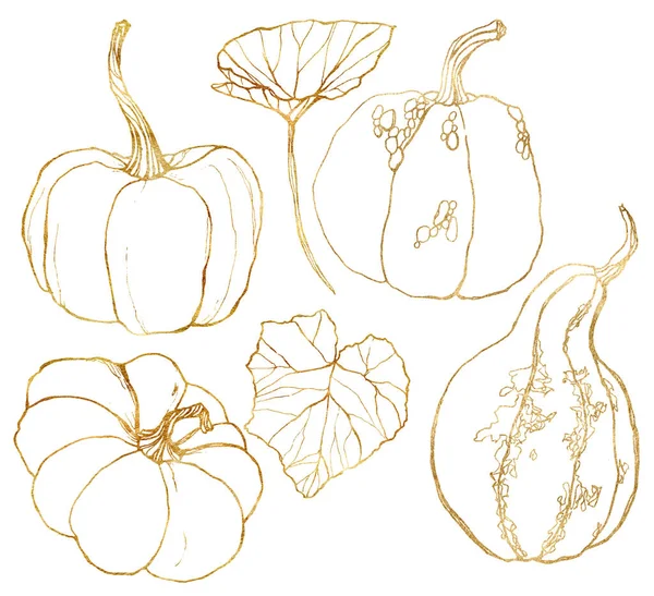 Sonbahar suluboya altın bal kabakları ve yapraklar. Beyaz arka planda izole edilmiş el yapımı su kabakları. Tasarım, baskı ve arkaplan için botanik illüstrasyon.