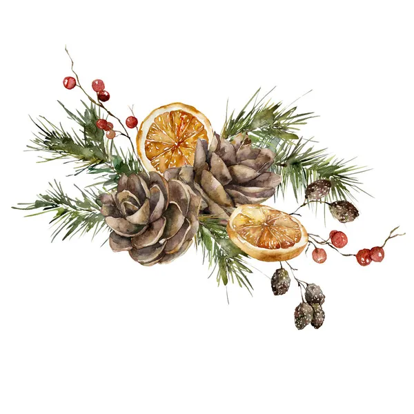 Aquarel Kerst boeket van sparren takken, citroen plakjes en dennenappels. Met de hand geschilderde winterplanten geïsoleerd op witte achtergrond. Vakantie illustratie voor ontwerp, print, stof of achtergrond. — Stockfoto