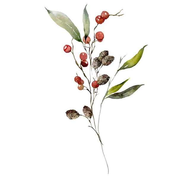 Watercolor Christmas bouquet of branches, alder and red berries. Hand painted holiday greenery isolated on white background. Floral holiday illustration for design, print, fabric or background. — Stock Photo, Image