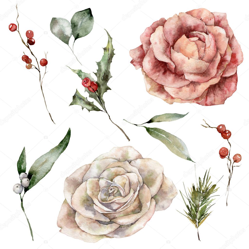 Watercolor Christmas set of roses, holly, berries, fir and pine branches. Hand painted holiday elements of flowers and plants isolated on white background. Illustration for design, print, background.