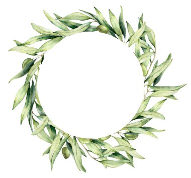 Yeşil zeytin ve dallardan oluşan suluboya daire çerçevesi. Beyaz arka planda izole edilmiş el yapımı yapraklar ve böğürtlenler. Tasarım, baskı, kumaş veya arkaplan için minimalist bitki çizimi.