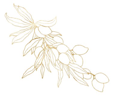 Altın zeytin, dallar ve yapraklardan oluşan suluboya bir kart. Beyaz arka planda el boyası sanat kompozisyonu izole edilmiş. Tasarım, baskı, kumaş veya arkaplan çizimi.