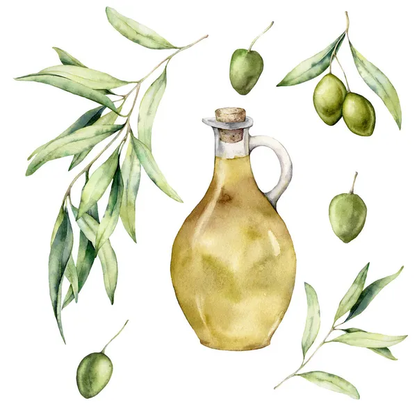 Acquerello set di rami di ulivo, foglie, bacche e bottiglia con olio. Elementi di cibo e natura dipinti a mano isolati su sfondo bianco. Illustrazione di piante per design, stampa, tessuto o sfondo. — Foto Stock