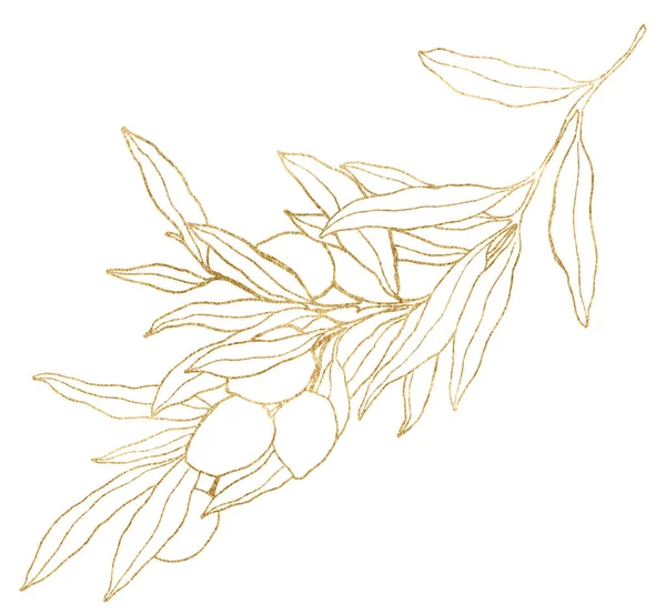 Watercolor card of gold olives, leaves and branches. Hand painted line art nature composition isolated on white background. Plants illustration for design, print, fabric or background. — Stock Photo, Image