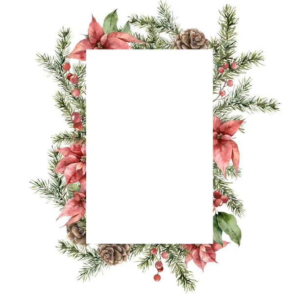 Akvarell karácsonyi keret poinsettia, lucfenyő ágak és fenyőtoboz. Kézzel festett nyaralás kártya virágok és növények elszigetelt fehér alapon. Illusztráció tervezés, nyomtatás, háttér. — Stock Fotó