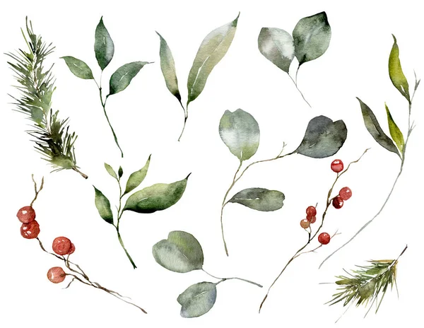 Akwarela Świąteczny zestaw liści eukaliptusa, gałęzi sosny i czerwonych jagód. Ręcznie malowane rośliny zimowe izolowane na białym tle. Ilustracja projektu, druku, tkaniny lub tła. — Zdjęcie stockowe