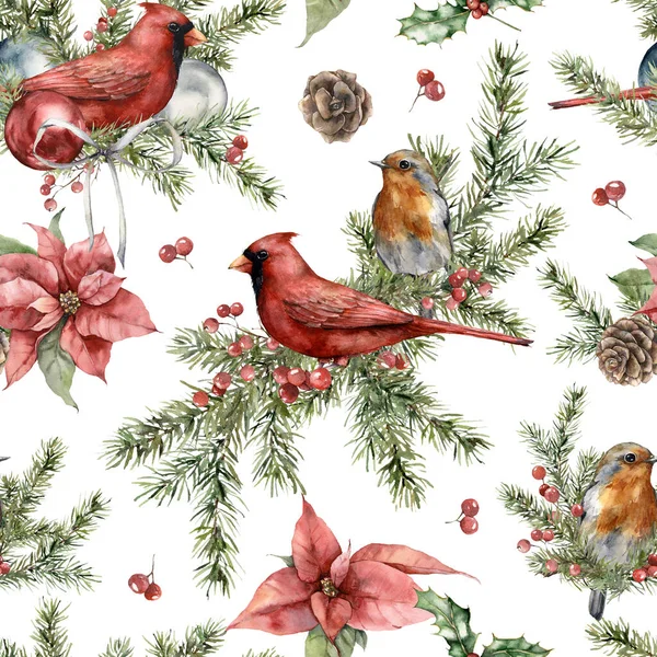 Patrón sin costura de Navidad acuarela de cardenal rojo, petirrojo, poinsettia y ramas de abeto. Pájaro pintado a mano y plantas aisladas sobre fondo blanco. Ilustración para diseño, impresión, fondo. —  Fotos de Stock