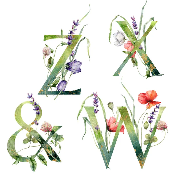 Watercolor Frolal Alphabet Set Wild Flowers Hand Painted Floral Symbols — 스톡 사진