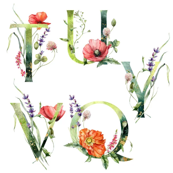 Watercolor Frolal Alphabet Set Wild Flowers Hand Painted Floral Symbols — Foto Stock