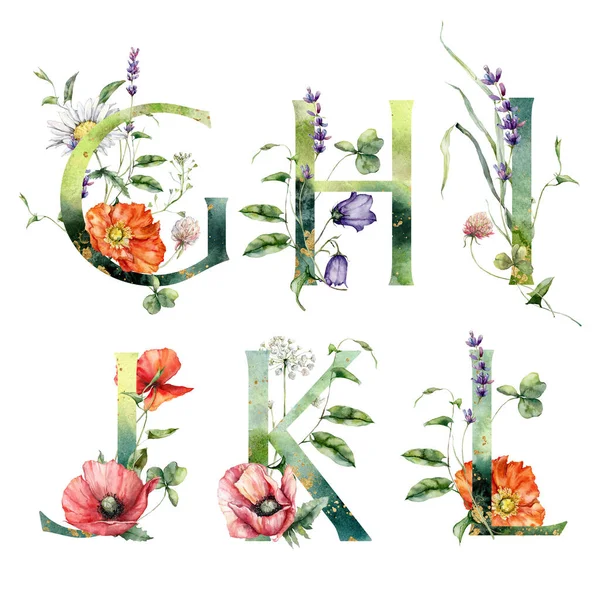 Watercolor Frolal Alphabet Set Wild Flowers Hand Painted Floral Symbols — Stock Fotó