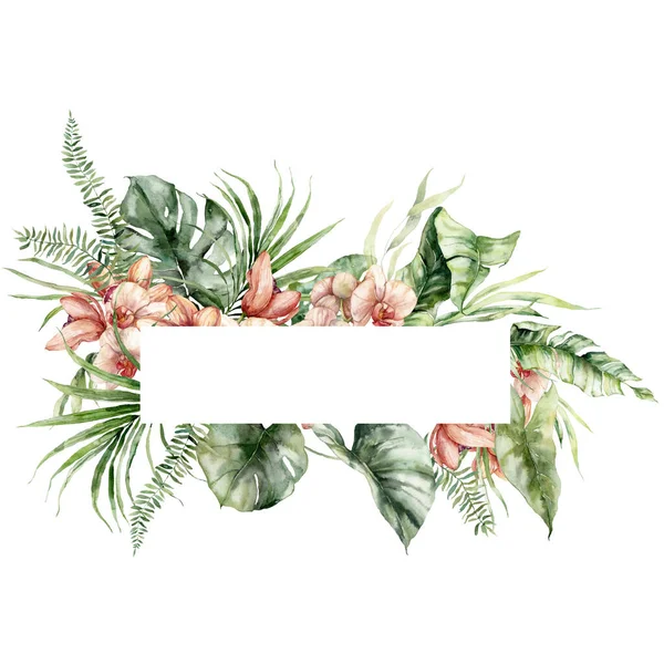Akwarela Tropikalnych Kwiatów Poziomej Ramie Storczyków Paproci Liany Ręcznie Malowana — Zdjęcie stockowe