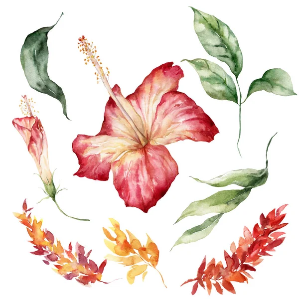 Watercolor tropical flowers set of hibiscus, lily and leaves. Hand painted floral elements isolated on white background. Holiday Illustration for design, print, fabric or background