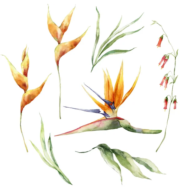 Watercolor tropical flowers set of strelitzia and leaves. Hand painted floral elements isolated on white background. Holiday Illustration for design, print, fabric or background
