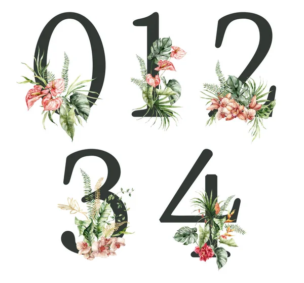 Watercolor numbers set of black 0, 1, 2, 3, 4 with wild flowers. Hand painted floral symbols isolated on white background. Holiday Illustration for design, print, fabric or background