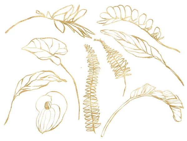Υδατογραφία Τροπικά Φύλλα Χρυσό Σύνολο Γραμμική Monstera Μπανάνα Και Φτέρη — Φωτογραφία Αρχείου
