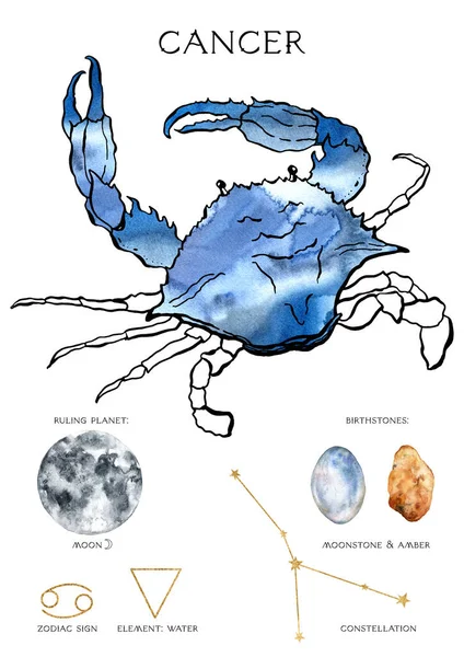 Watercolor zodiac poster of composition cancer sign. Hand painted abstract card isolated on white background. Minimalistic gold linear illustration for design, print, fabric or background