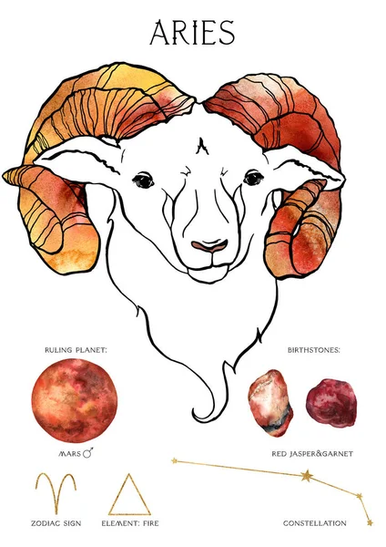 Акварель Зодіаку Плакат Композиції Знаку Овен Ручна Пофарбована Абстрактна Листівка — стокове фото