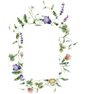 Suluboya çayır çiçekleri. Campanula, papatya ve lavanta dikey çerçevesi. Beyaz arka planda yaban çiçeklerinden elde boyanmış çiçek kartı. Tasarım, baskı ve arkaplan için Tatil Resimleri