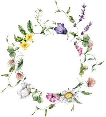 Suluboya çayır çiçekleri çember şeklindeki campanula, karanfil ve papatya. Beyaz arka planda yaban çiçeklerinden elde boyanmış çiçek kartı. Tasarım, baskı ve arkaplan için Tatil Resimleri