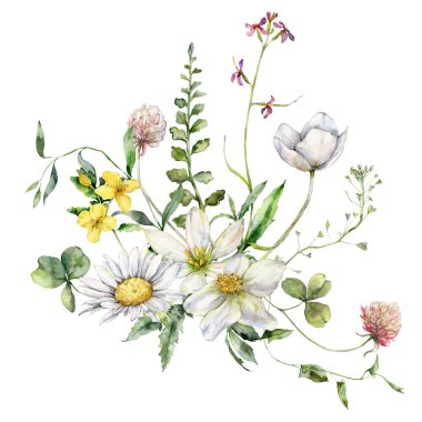 Suluboya çayır çiçekleri, papatya buketi, düğün çiçeği ve sardunya. Beyaz arka planda izole edilmiş kır çiçeklerinin el boyaması posteri. Tasarım, baskı ve arkaplan için Tatil Resimleri