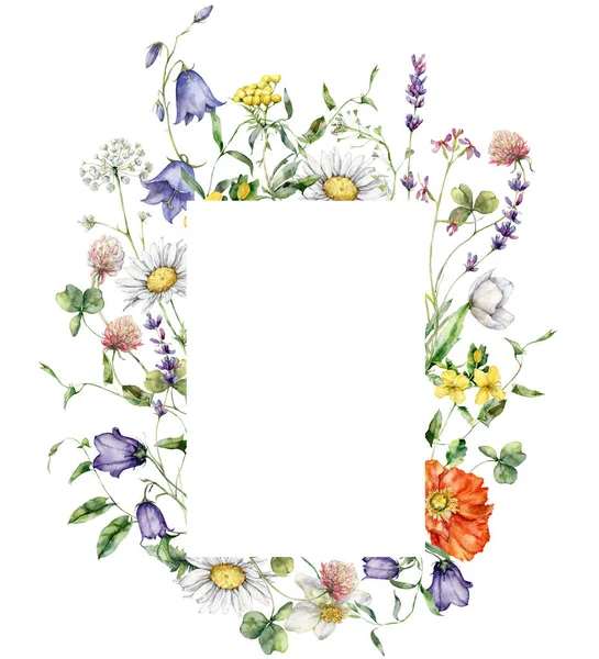 Watercolor Meadow Flowers Vertical Frame Poppy Chamomile Campanula Hand Painted — Stock Photo, Image