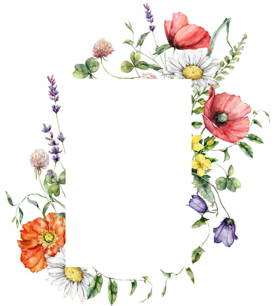 Watercolor Meadow Flowers Vertical Frame Chamomile Poppyand Campanula Hand Painted — Stock Photo, Image