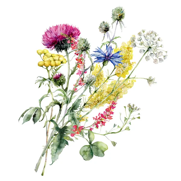 Watercolor Padang Rumput Bunga Buket Thistle Bunga Jagung Dan Blueberry — Stok Foto