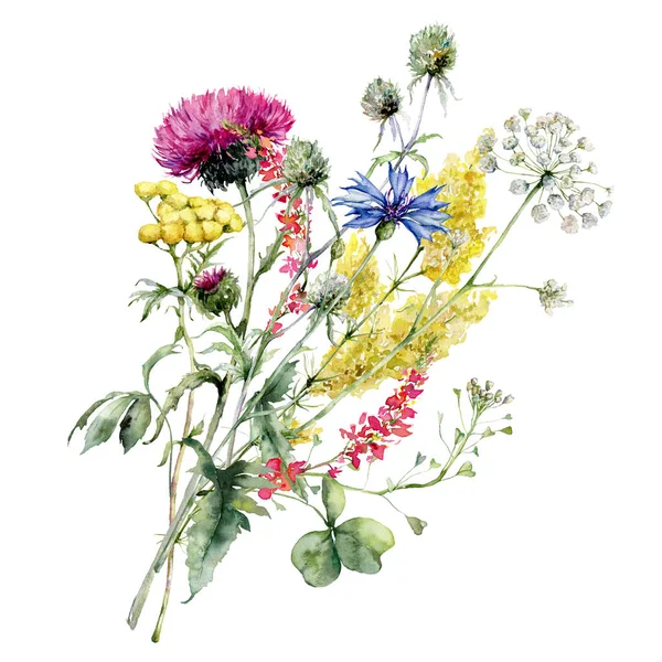 Watercolor meadow flowers bouquet of thistle, cornflower and blueberry. Hand painted floral poster of wildflowers isolated on white background. Holiday Illustration for design, print, background