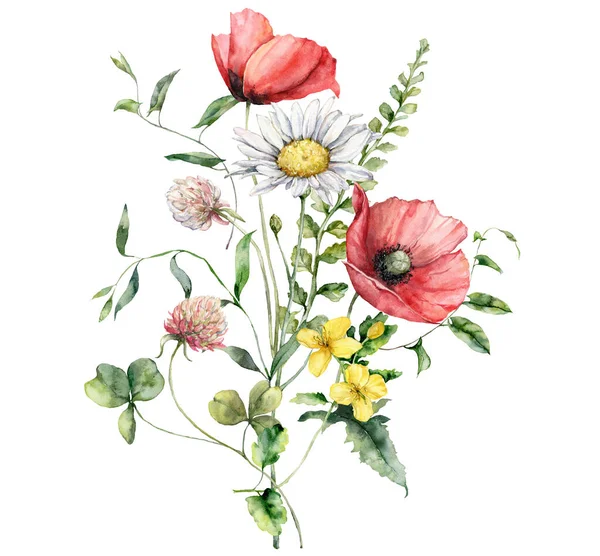 Akvarel Luční Květiny Kytice Máku Heřmánku Jetele Muškátu Ručně Malované — Stock fotografie