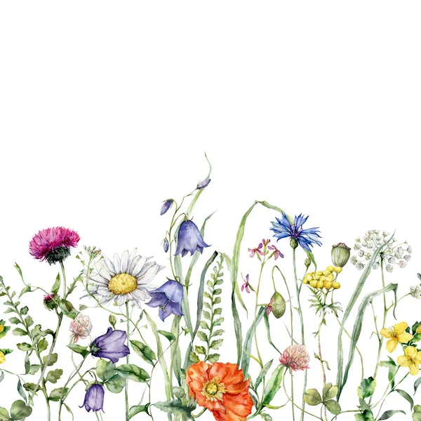 Aquarell Wiesenblumen Umranden Kamille Klee Und Campanula Handbemalte Florale Karte — Stockfoto