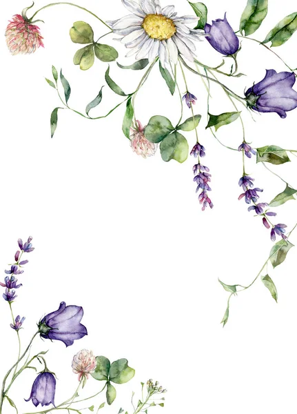 Aquarell Wiesenblumen Umranden Glockenblumen Kamille Und Lavendel Handbemalter Blumenrahmen Aus — Stockfoto