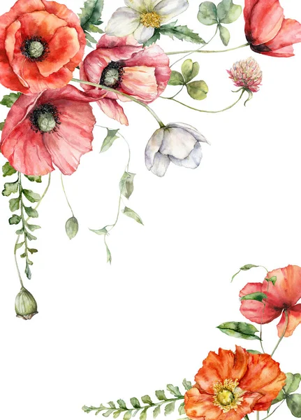 Watercolor Meadow Flowers Border Poppy Geranium Buttercup Clover Hand Painted — Stock Photo, Image