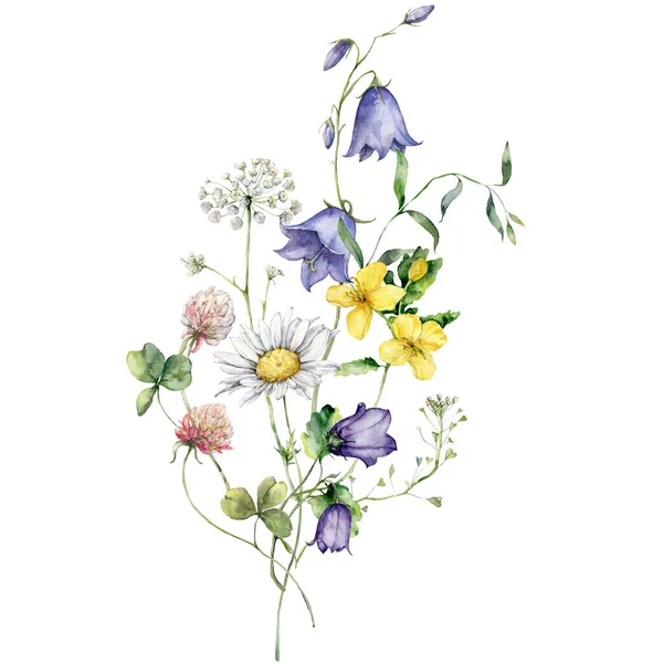 Aquarela Flores Prado Buquê Camomila Trevo Campanula Cartaz Floral Pintado — Fotografia de Stock