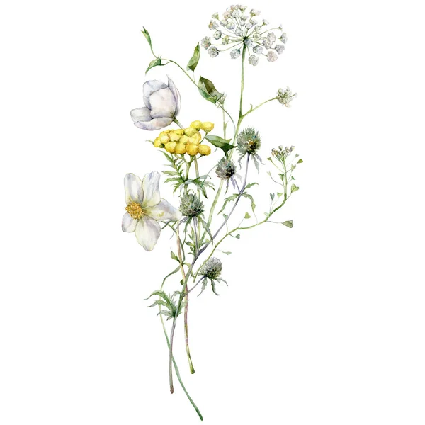 Aquarela Flores Prado Buquê Mirtilo Tansy Buttercup Cartaz Floral Pintado — Fotografia de Stock