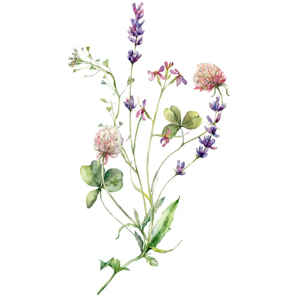 Aquarell Wiesenblumen Bouquet Von Klee Lavendel Und Capsella Handgemaltes Blumenposter — Stockfoto