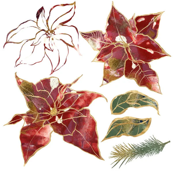 水彩金輪郭ポインセチア 葉や枝のクリスマスセット 白い背景に隔離された手描きの休日の要素 デザイン プリント ファブリックまたは背景のためのイラスト — ストック写真