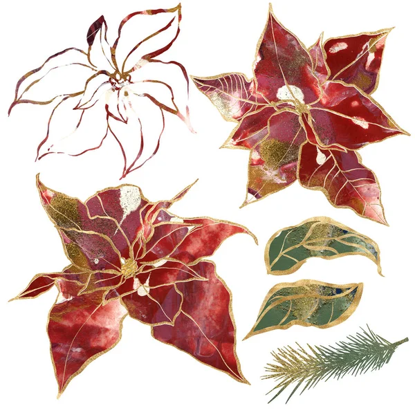 Aquarelle Ensemble Noël Poinsettia Contour Feuilles Branches Éléments Vacances Peints — Photo