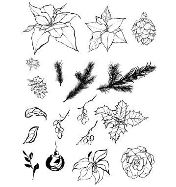 Vector Christmas set siyah noktalı çizgiler, gül, böğürtlen ve köknar dalları. Beyaz arka planda elle boyanmış tatil öğeleri. Tasarım, baskı, kumaş veya arkaplan çizimi