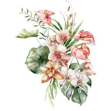 Suluboya tropikal çiçek buketi, orkide, anthurium ve canavar. Beyaz arka planda elle boyanmış çiçek posteri. Tasarım, baskı, kumaş veya arkaplan için Tatil Resimleri